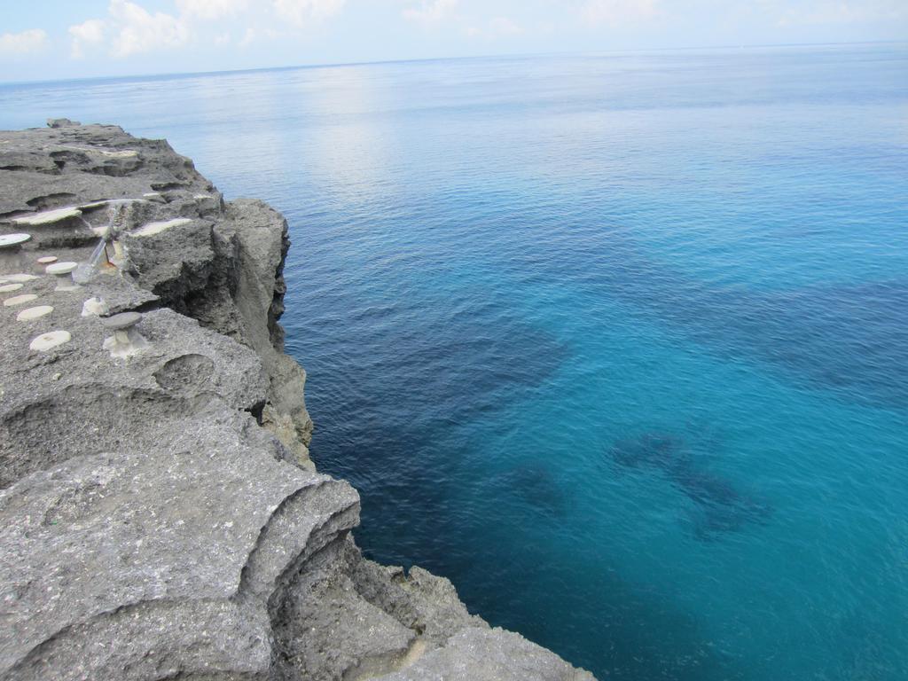 Naradas Mushroom Beach Lembongan Exterior photo